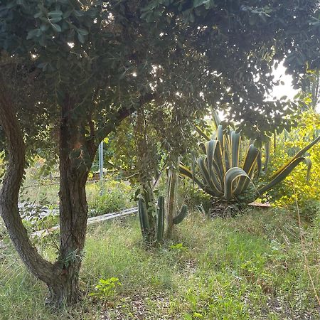 Villa Vittoria Trappeto  Zewnętrze zdjęcie