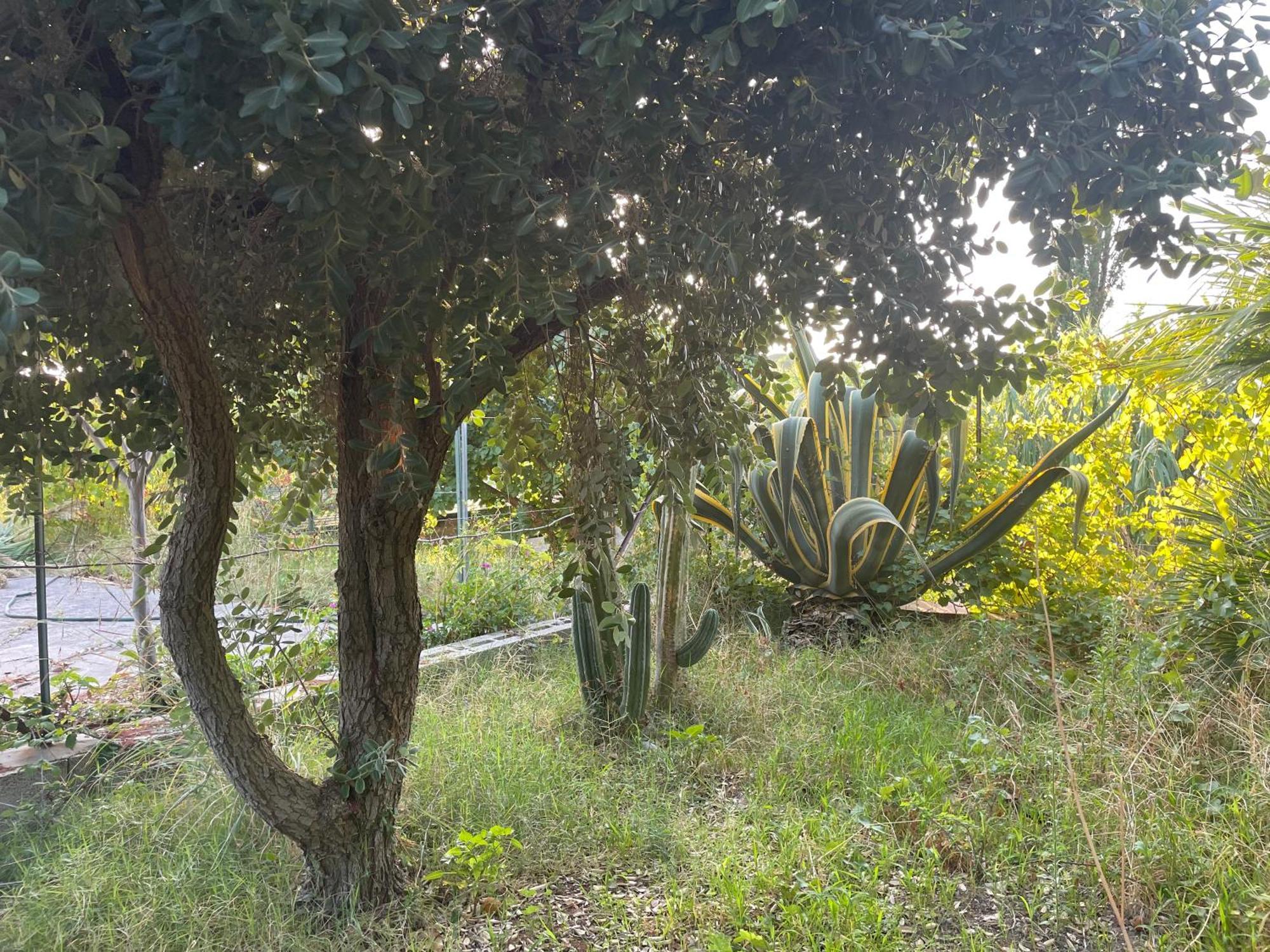 Villa Vittoria Trappeto  Zewnętrze zdjęcie